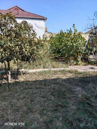 Torpaq Məmmədli q., Bakı