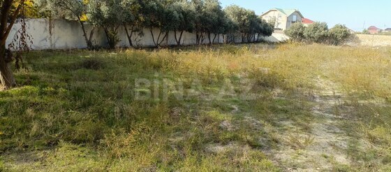 Torpaq Novxanı q., Bakı