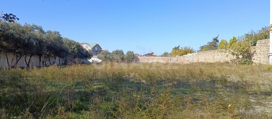 Torpaq Novxanı q., Bakı