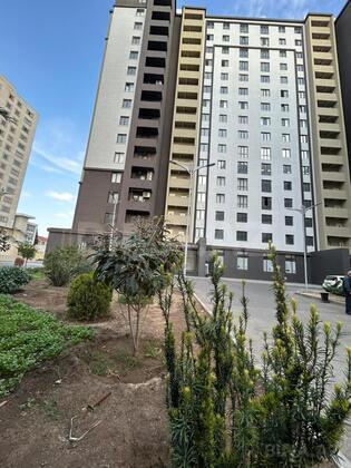 3 otaqlı Yeni tikili, Şah İsmayıl Xətai m., Bakı