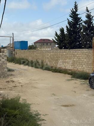 Torpaq Nardaran q., Bakı