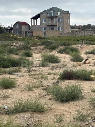 Torpaq Nardaran q., Bakı