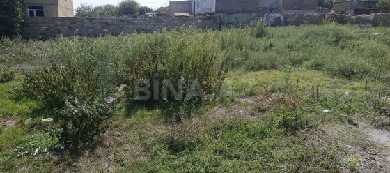 Torpaq Digah q., Bakı