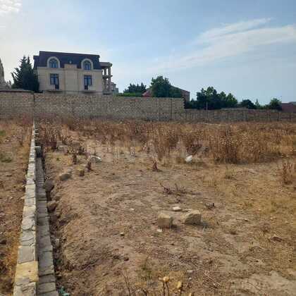 Torpaq Görədil q., Bakı