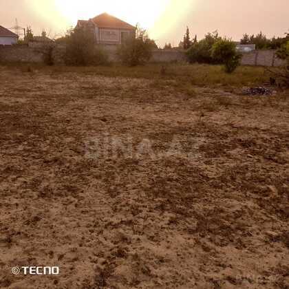 Torpaq Şüvəlan q., Bakı