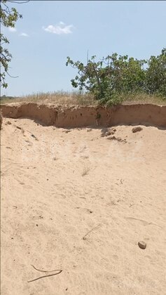 Torpaq Nardaran q., Bakı