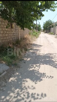 Torpaq Nardaran q., Bakı