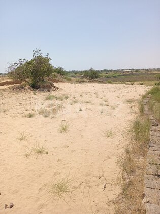 Torpaq Nardaran q., Bakı