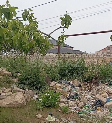 Torpaq Albalılıq q., Bakı