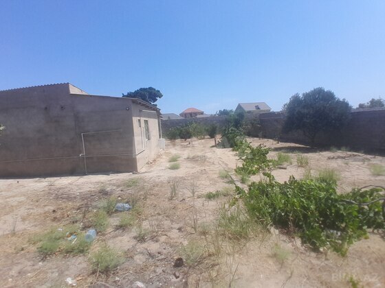 Torpaq Qala q., Bakı