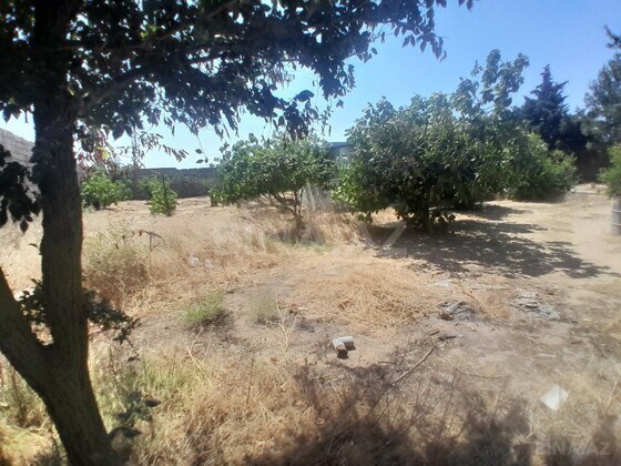Torpaq Qala q., Bakı