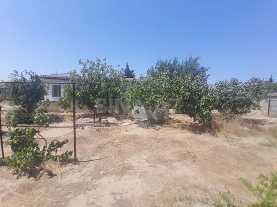 Torpaq Qala q., Bakı