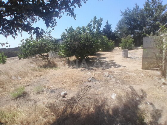 Torpaq Qala q., Bakı