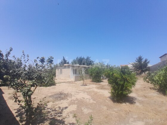 Torpaq Qala q., Bakı