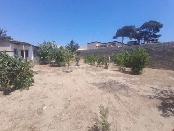 Torpaq Qala q., Bakı