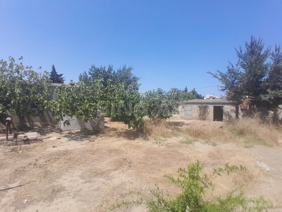 Torpaq Qala q., Bakı