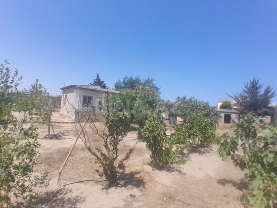 Torpaq Qala q., Bakı