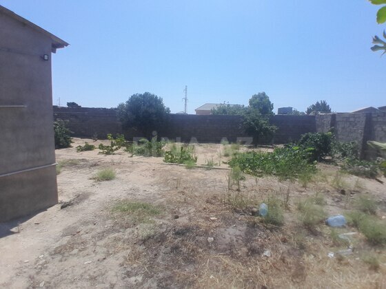 Torpaq Qala q., Bakı