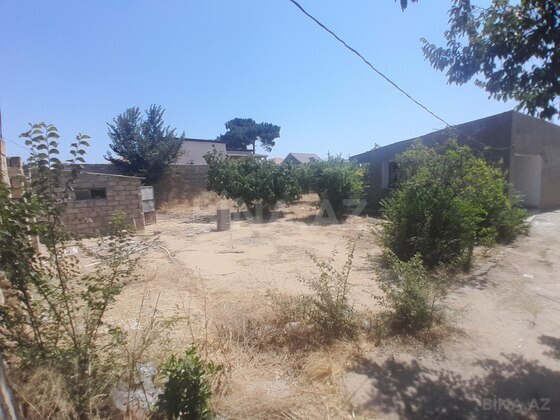 Torpaq Qala q., Bakı