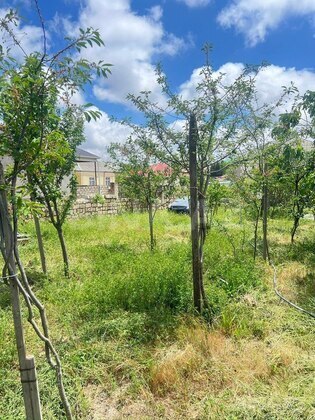 Torpaq Yeni Ramana q., Bakı