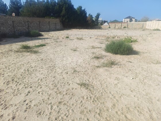 Torpaq Novxanı q., Bakı