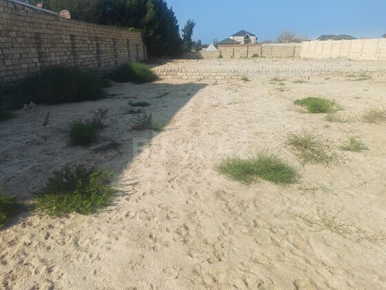 Torpaq Novxanı q., Bakı