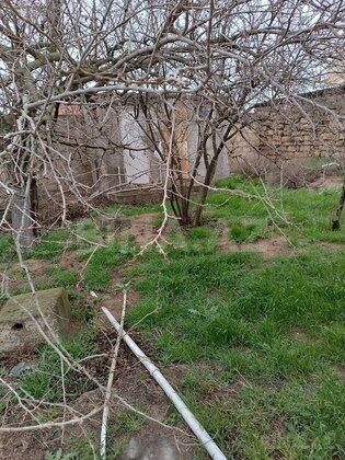 Torpaq Maştağa q., Bakı
