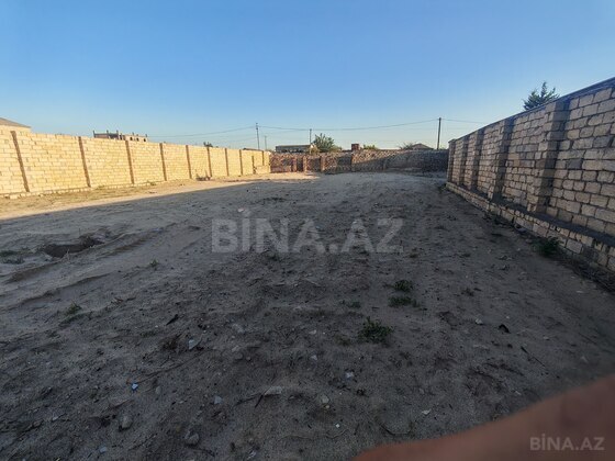 Torpaq Novxanı q., Bakı
