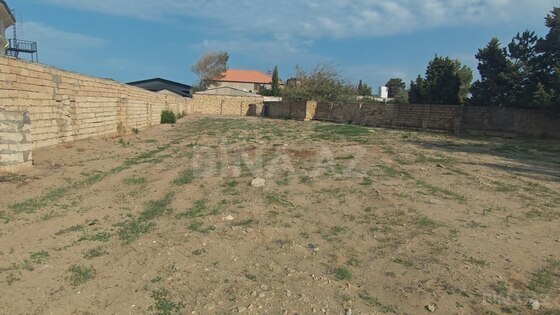 Torpaq Novxanı q., Bakı