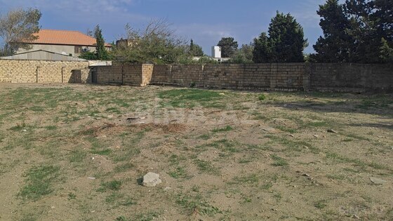 Torpaq Novxanı q., Bakı