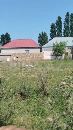 Torpaq Novxanı q., Bakı