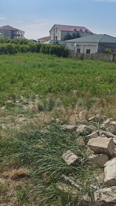Torpaq Novxanı q., Bakı