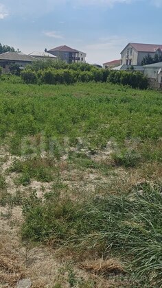 Torpaq Novxanı q., Bakı