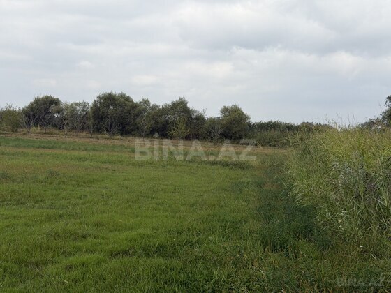 Torpaq Xaçmaz r., Xaçmaz