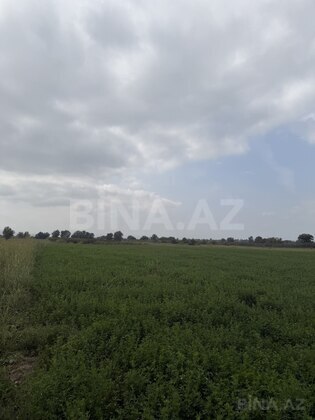 Torpaq Xaçmaz r., Xaçmaz