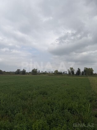 Torpaq Xaçmaz r., Xaçmaz