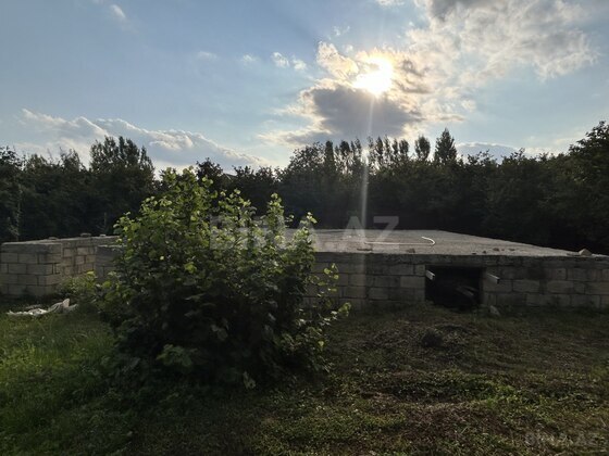 Torpaq İsmayıllı