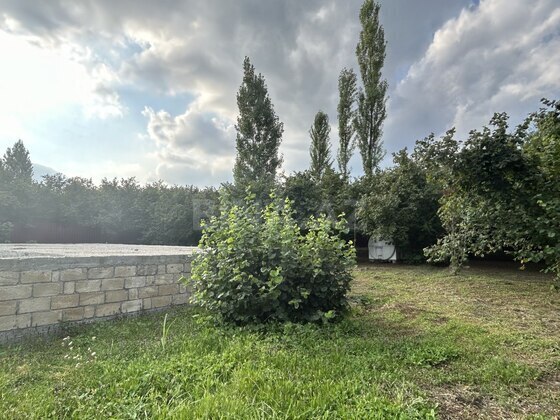 Torpaq İsmayıllı