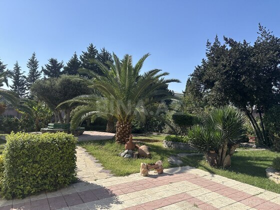 Torpaq Mərdəkan q., Bakı