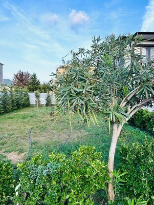 6 otaqlı Həyət evi/Bağ evi, Mərdəkan q., Bakı