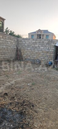 Torpaq Zabrat q., Bakı