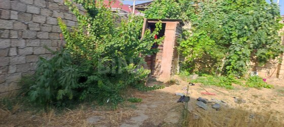 Torpaq Zabrat q., Bakı
