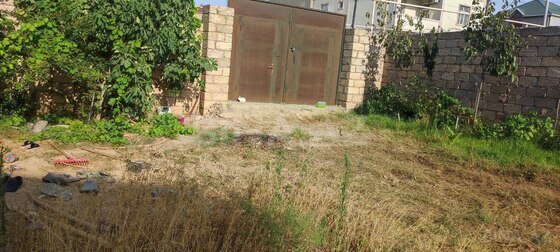 Torpaq Zabrat q., Bakı