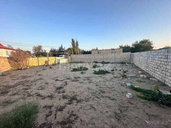 Torpaq Novxanı q., Bakı