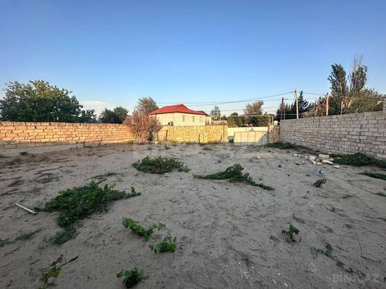Torpaq Novxanı q., Bakı