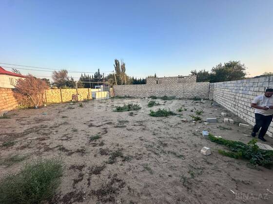 Torpaq Novxanı q., Bakı