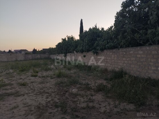 Torpaq Albalılıq q., Bakı