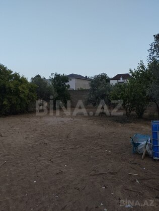 Torpaq Albalılıq q., Bakı