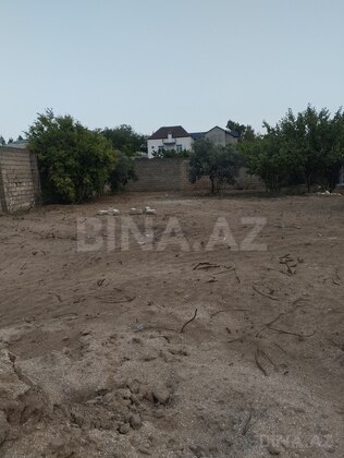 Torpaq Albalılıq q., Bakı