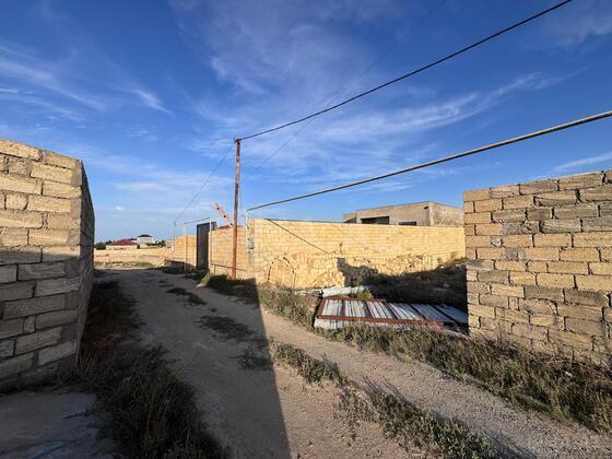 Torpaq Nardaran q., Bakı